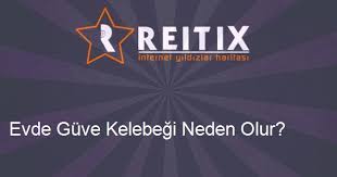 Arkadaşlar başımda büyük aslında küçük bir bela var. Evde Guve Kelebegi Neden Olur Reitix Com