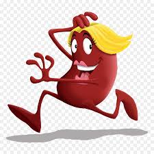 Kidney Red Png Download 1146 1146 Free Transparent Kidney Png Download Cleanpng Kisspng Kidney cartoon 1 of 80. kidney red png download 1146 1146