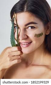 1+ Thousand Lady Aloe Vera Royalty-Free Images, Stock Photos & Pictures