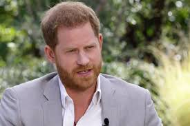 Harry potter and the sorcerer's stone. Prince Harry Is Taking On A New Job Title Chief Impact Officer At Betterup Wsj