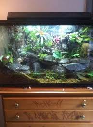 Pin On Vivarium