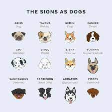 What One Are You Zodiac Signs Aquarius Zodiac Signs Animals Zodiac Signs