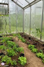 Gartnern Im Gewachshaus Biogartenjahr Praktische Tipps Zum Biogartnern Plants Garden Greens