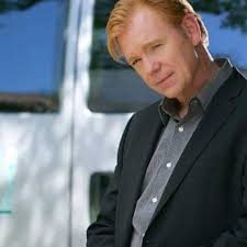Lt Horatio Caine Csi Miami Csi Miami Csi Miami Quotes Csi
