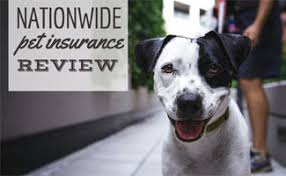 Check spelling or type a new query. Nationwide Pet Insurance Reviews Claims Coverage Customer Service Plans Coverage Cancellation And More Caninejournal Com