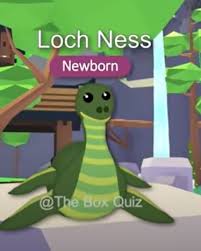 Adopting a pet is one of the very best ways to bring more happiness. Adopt Me Mythic Egg Update Pets Ideas Concept Android Gram
