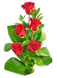 Rose Flower Pink Flowerpot Plant For Valentines Day 1300x1772 In 2020 Rose Flower Wallpaper Beautiful Rose Flowers Flowers