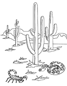 The climate is like no other. Coloring Pages And Worksheets Ask A Biologist
