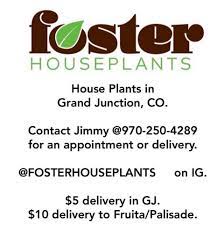 We did not find results for: Foster Houseplants Home Facebook