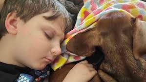 Fundraiser by Shane Dwight Peoples : Help Malinda & Our Special Needs Kids  Relocate