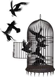 Free Image On Pixabay Crow Bird Cage Cage Bird Animal Bird In A Cage Bird Cage Bird
