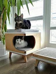 Pin On Kitty Cat Ideas