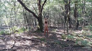 Sklaven outdoor gefesselt - Heiße Bildergalerie von Peefun vom Sep 14, 2016  - Amateurpin.xxx ✓