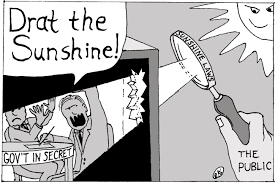 Image result for sunshine cartoon