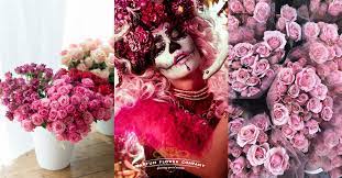 We did not find results for: 15 Best Floral Instagram Accounts To Follow Parfum Flower Company