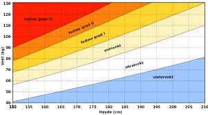 Accurate assessments of obesity are important, as being overweight significantly increases your risk of a variety of medical conditions. File Bmi Grid Nb Svg Wikimedia Commons