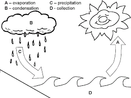Why is preschool science important? 404 Not Found Water Cycle Worksheet Water Cycle Cycle Drawing