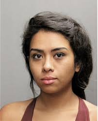 ᐅ Illinois Criminal Records 2009-2025