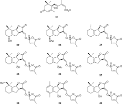 Image result for Alectra picta