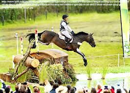 Die kader sind die nationalmannschaften im reitsport. Vielseitigkeit Reitsport Bei Olympia