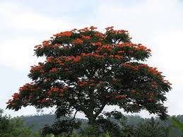 Maybe you would like to learn more about one of these? ØµÙˆØ± ÙˆØ±ÙˆØ¯ Ø¬Ù…ÙŠÙ„Ø© Ø§Ø¬Ù…Ù„ ØµÙˆØ± Ø§Ù„ÙˆØ±Ø¯ ÙˆØ§Ù„Ø§Ø²Ù‡Ø§Ø± Ø¨Ø¬ÙˆØ¯Ø© Hd Ø³ÙˆØ¨Ø± ÙƒØ§ÙŠØ±Ùˆ