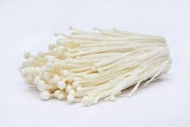 Maybe you would like to learn more about one of these? 10 Jenis Cendawan Yang Boleh Dimakan Dan Tidak Boleh Dimakan Bidadari My