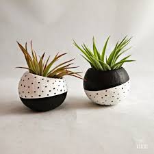 Black And White Flower Pot Images Black And White Planters Plant Decor Air Plants Flower Pots