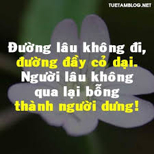 Hình ảnh có liên quan