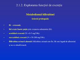 Bilirubina este o substanta care in exces poate cauza icter. ExplorÄƒri È™i Tipuri De AfecÈ›iuni Hepatice Ppt Katebasma