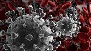 Hoy vemos qué diferencia hay entre epidemia, pandemia y endemia. Coronavirus Qual A Diferenca Entre Pandemia Epidemia E Infeccao Endemica Coronavirus G1