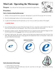 Draw the tube of this microscope. Lab Activity 1 Operating The Microscope
