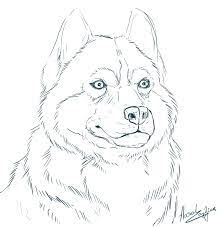 Choose your favorite dog's own colors and then color the back ground with your favorite colors. Realistic Line Drawings Google Search Dog Coloring Page Animal Drawings Horse Coloring Pages