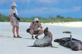 Reptiles of galapagos islands and orca whale. 5 Tage Galapagos Tour Santa Cruz Und Isabela Inseln 2021