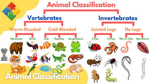 Also, in the taxonomy chart, all of the birds were classified in the same group until i got to order. explain the positions of each species in your cladogram. Animal Classification For Kids Learn How To Classify Animals And The Animal Taxonomies Youtube