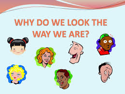 Why Do We Look The Way We Are Ppt Download
