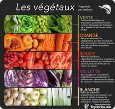 Huile de foie de morue, poissons gras, œufs, lait, foie de veau, thon les recommandations alimentaires en matière de prévention du cancer sont en tous points introduisez deux portions de légumineuses chaque semaine. Epingle Sur Sante