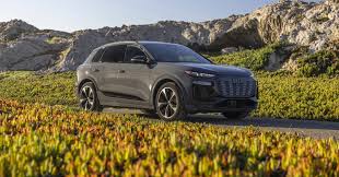 Image result for Argus Brown 2021 Audi