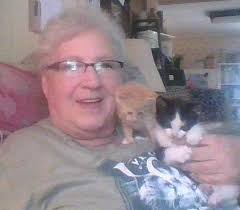 Orange tabby kitten plays with toys and tower