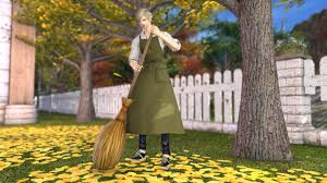 Ffxiv 5.41 how to unlock the riceball emote. Get The Broom Emote In Final Fantasy Xiv Isk Mogul Adventures