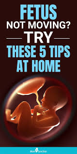 Pin On Pregnancy