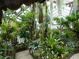 Berlin Botanischer Garten Bromeliad House Botanischer Garten Berlin Botanischer Garten Garten Berlin