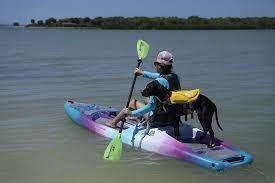 Perception hi life 11.0 sup kayak. Buy Perception Hi Life Convertible Sup Kayak Paddle 3 Piece Online In Taiwan B079x6f8rq