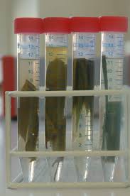 The device spins at very high speeds, for the preservation of the dna which has been abstracted by all the live aboard's. Dna Bank Senckenberg Gesellschaft Fur Naturforschung