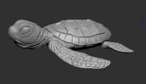 Baby Turtle Pinshape In 2020 Baby Turtles Baby Sea Turtles Turtle