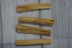 Palo Santo Wood | Incense Sticks | Essential Oil | Sacred Essence