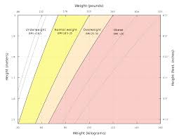 Body Mass Index Wikipedia