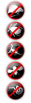 Require face masks are always properly worn mays plus, inc. Pest Control In Lawton Ok Rodents