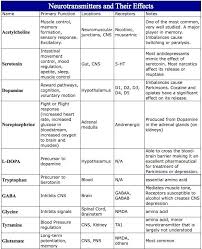 brain functions chart neurotransmitters brainy info