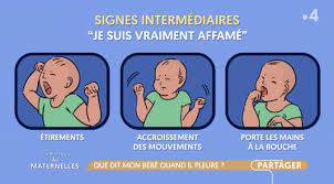 Les parents reçoivent souvent des conseils contradictoires. Que Disent Les Pleurs De Mon Bebe Lmdm