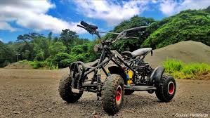 Electric ATV & UTV Industry Outlook 2025 | Key Insights